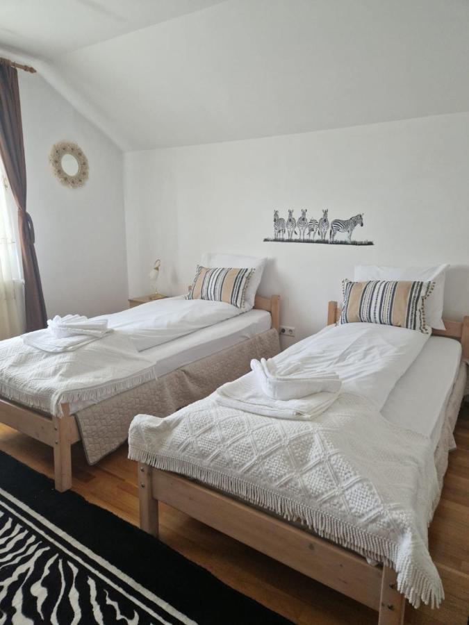Celeste House Sibiu Extérieur photo