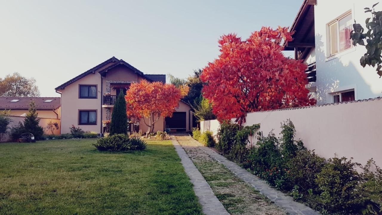 Celeste House Sibiu Extérieur photo